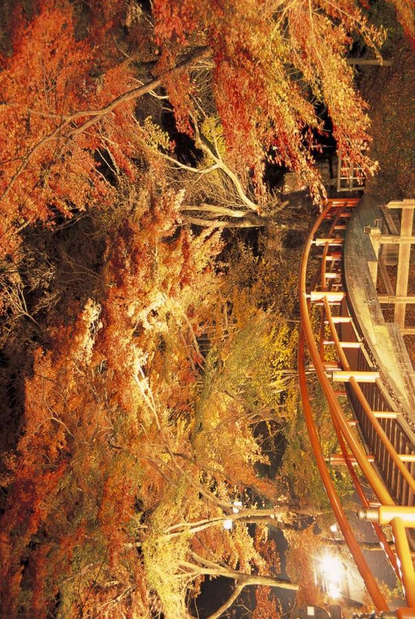 Hotel Shinki à Shibukawa Extérieur photo